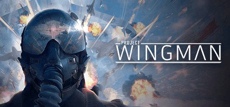 僚机计划/Project Wingman-乐夜游